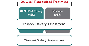 24-week randomized treatment, Diagram